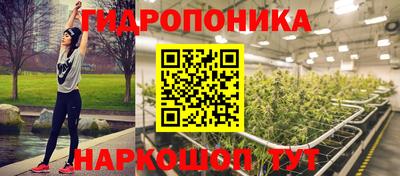 прущие грибы Ливны