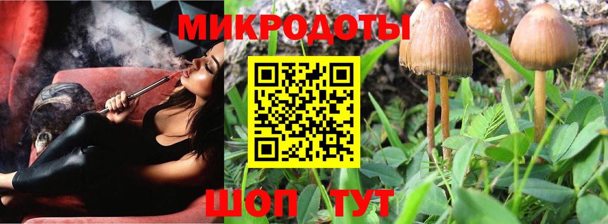 Галлюциногенные грибы мухоморы Татарск